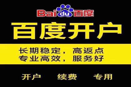 百度推广返点案例：提升品牌影响力